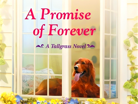 A Promise Of Forever Online Sale